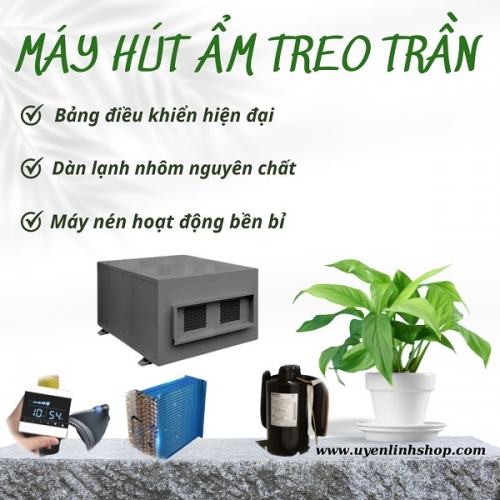 Máy hút ẩm treo trần là gì?