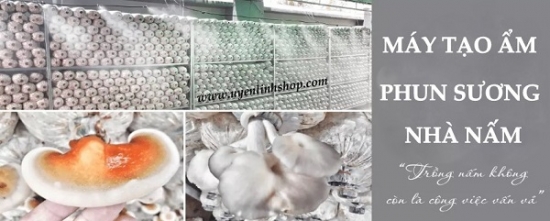 Lợi ích của máy phun sương tạo ẩm trong nuôi trồng nấm