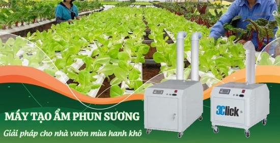 Giải pháp tạo ẩm cho nhà vườn mùa hanh khô