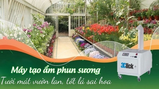 Máy Phun Sương Tạo Ẩm Cho Giàn Lan