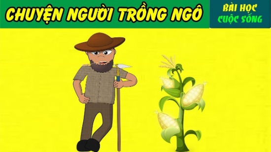 Chuyện người trồng ngô