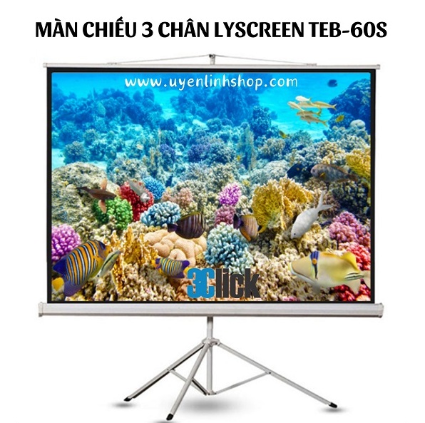 Màn chiếu 3 chân Lyscreen TEB-60S