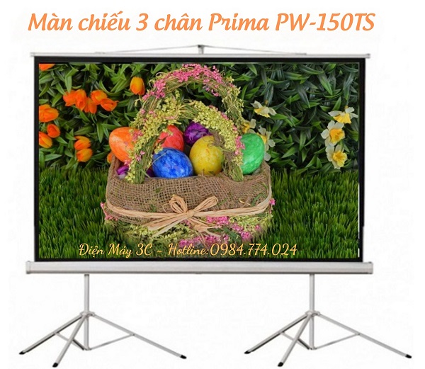 Màn chiếu 3 chân Prima PW-150TS