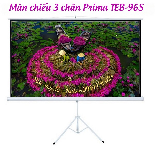 Màn chiếu 3 chân Prima TEB-96S