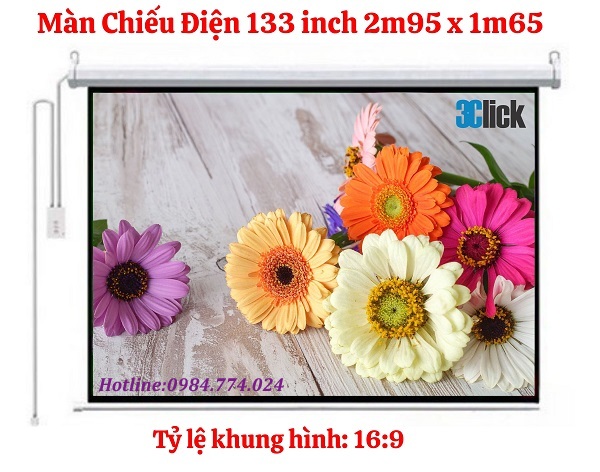 Màn Chiếu Điện 133 inch 2m95 x 1m65