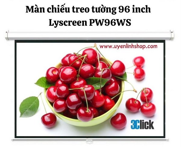 Màn chiếu treo tường 120 inch Lyscreen PW96WS