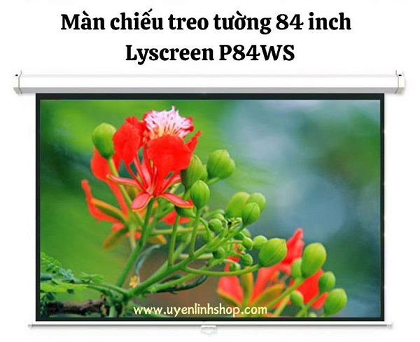 Màn chiếu treo tường Lyscreen 84 inch P84WS