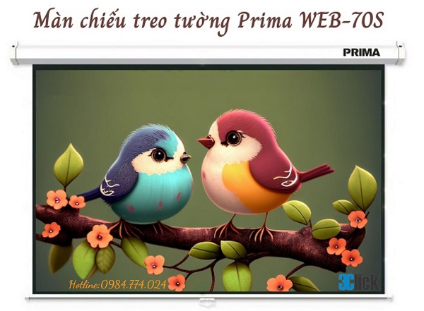 Màn chiếu treo tường Prima WEB-70S