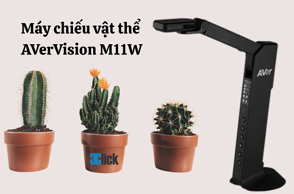 Máy chiếu vật thể AverVision M11W
