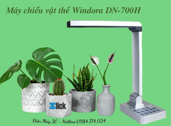 Máy chiếu vật thể Windora DN-700H