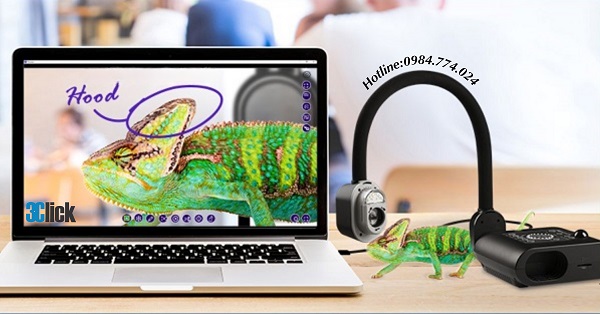 Máy chiếu vật thể AverVision F50+