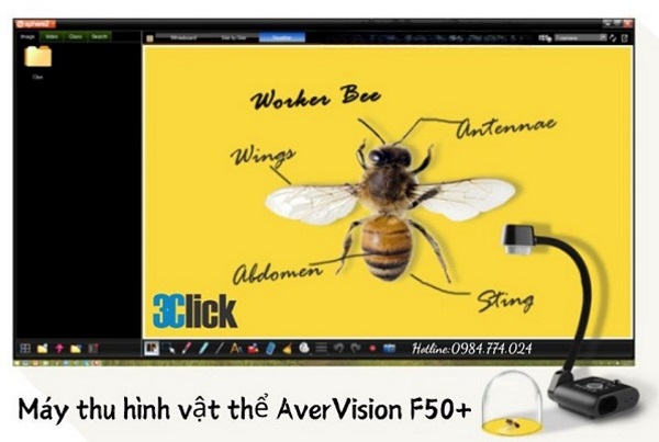 Máy chiếu vật thể AverVision F50+