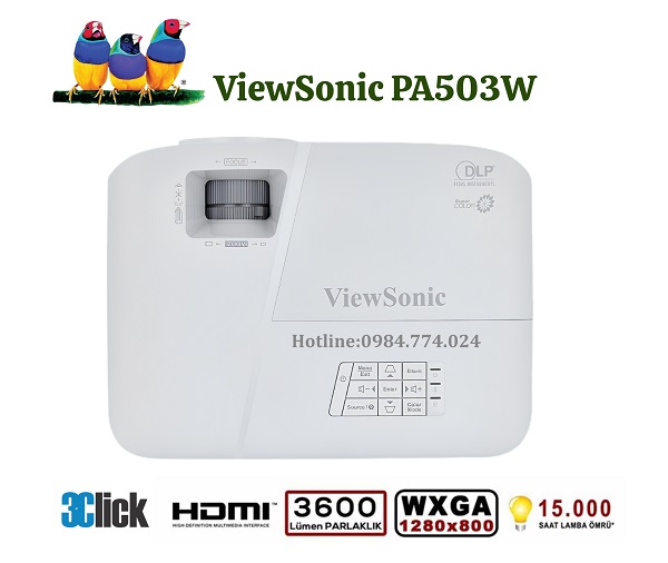 Máy chiếu Viewsonic PA503W
