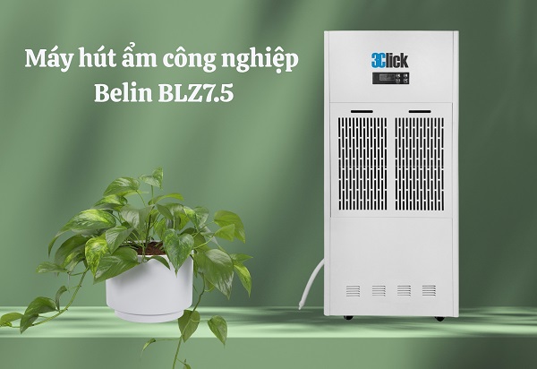 Máy hút ẩm công nghiệp Belin BLZ7.5