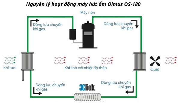 Máy hút ẩm công nghiệp Olmas OS-180