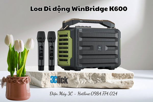 Loa di động WinBridge K600