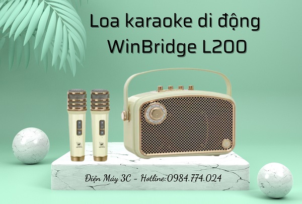 Loa Karaoke WinBridge L200