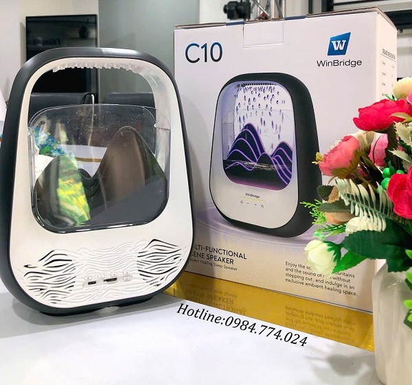 Loa Bluetooth WinBridge C10