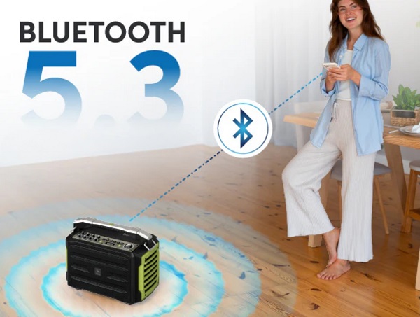 Loa di động WinBridge K600