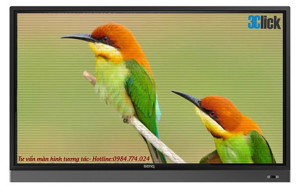 Màn hình tương tác BenQ RM6504