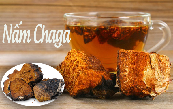 H ng D n S D ng N m Chaga Nga Hi u Qu Nh t